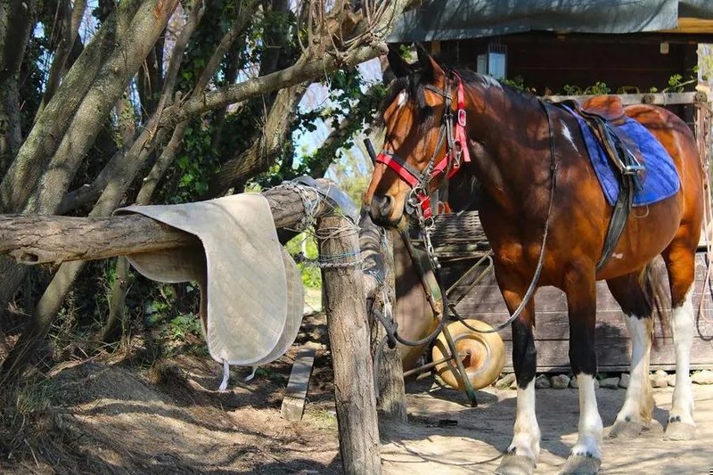 Intro: The Mobile Shift That’s Shaking the UK